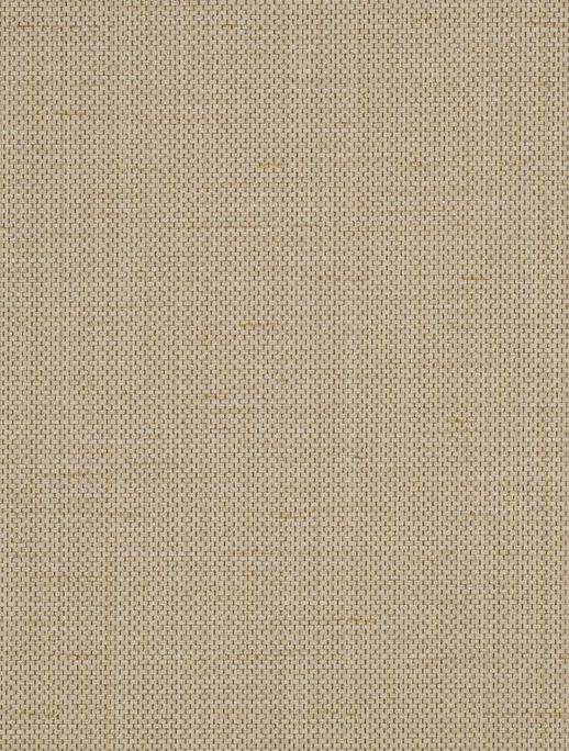  Vycon Contract Raising Cain Going Coastal