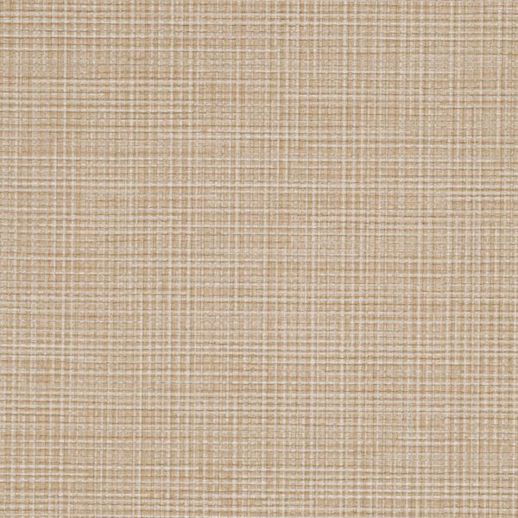  Vycon Contract Pave Sparkling Ale