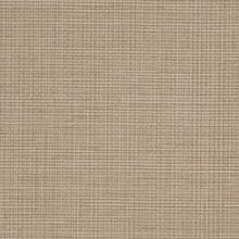 Million Dollar Beige