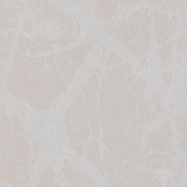 Featured Product Image