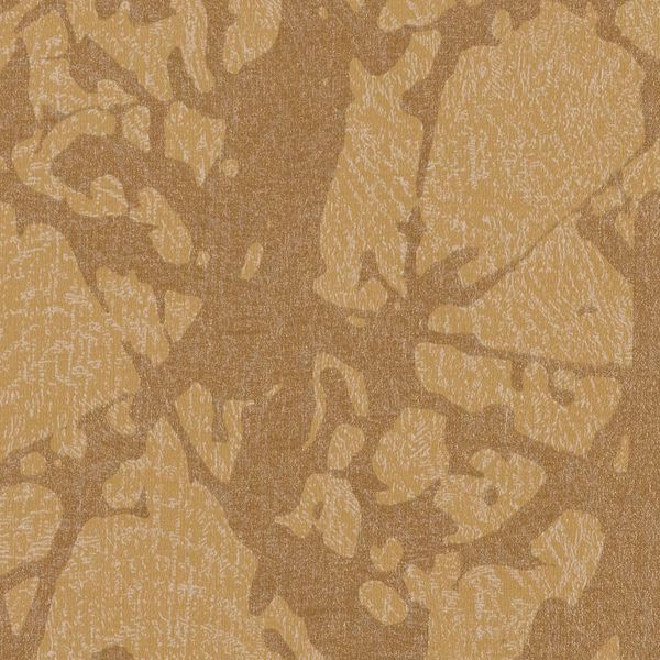 Featured Product Image