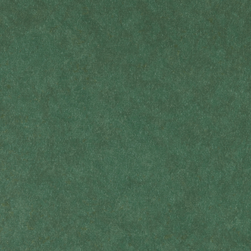  Vycon Contract Reflection Wicked Envy