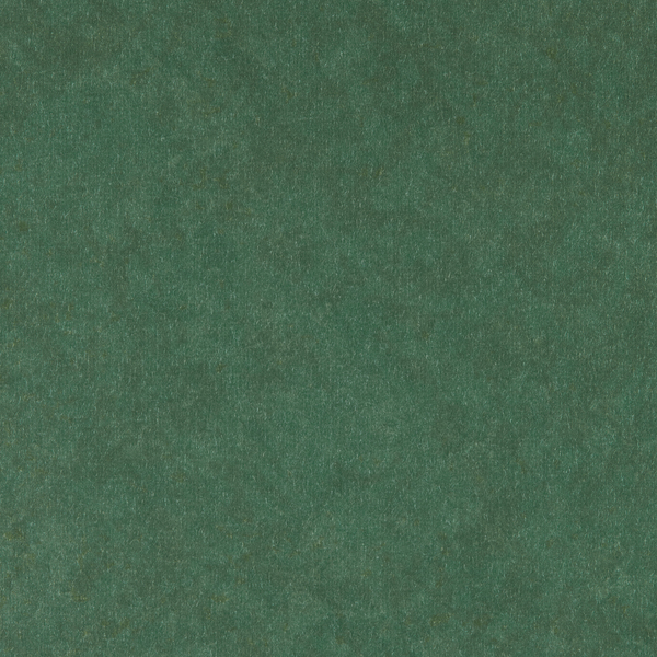 Featured Product Image