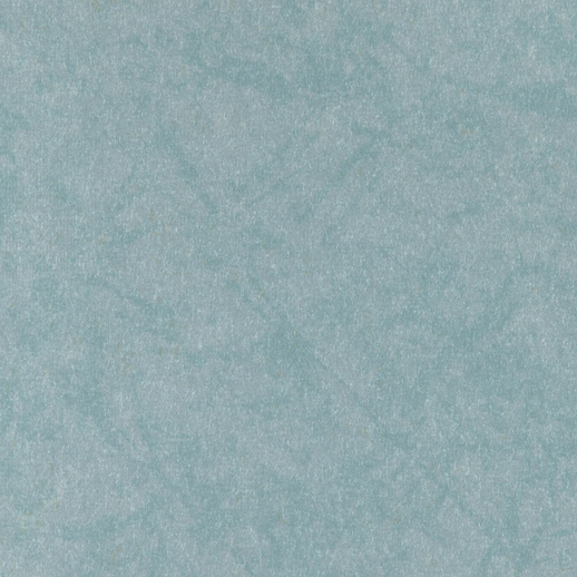  Vycon Contract Reflection Narcissus' Pool