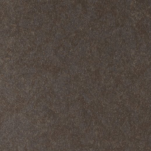  Vycon Contract Reflection Lady Godiva