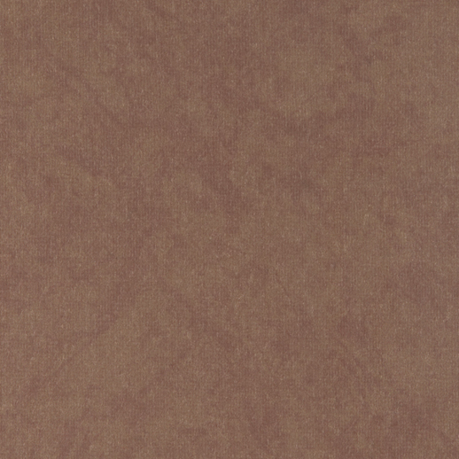  Vycon Contract Reflection Naked Truth