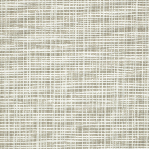  Vycon Contract Sass-A-Grass Desert Grass