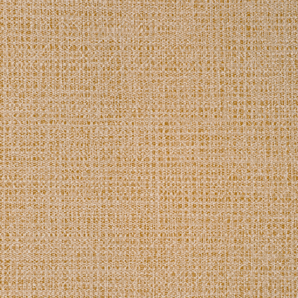 Featured Product Image