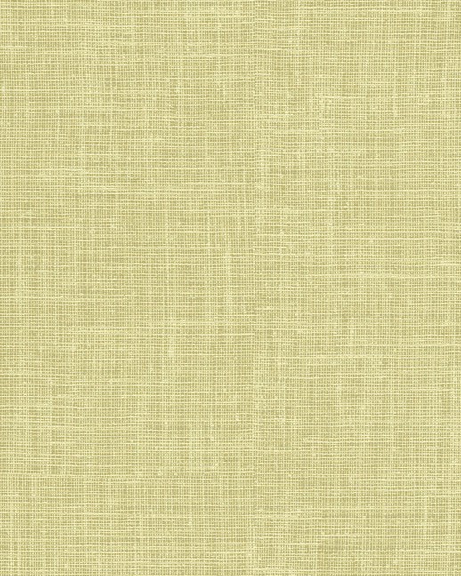  Vycon Contract Watercolor Canvas Lime Twist