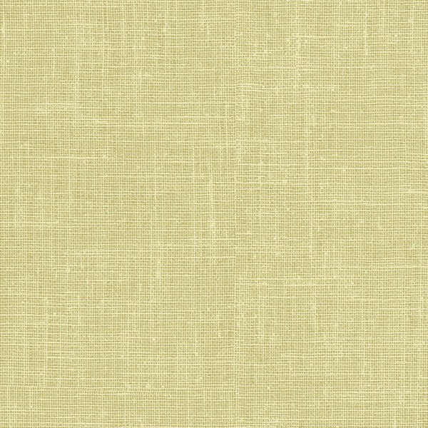 Vinyl Wall Covering Vycon Contract Watercolor Canvas Lime Twist