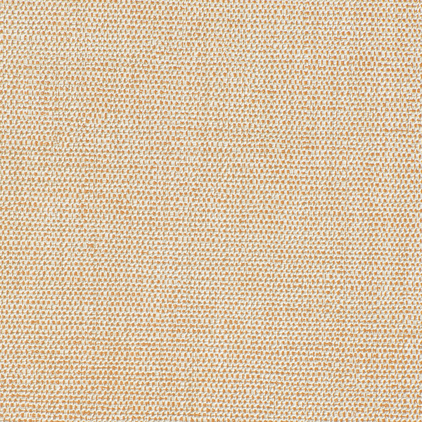 Featured Product Image