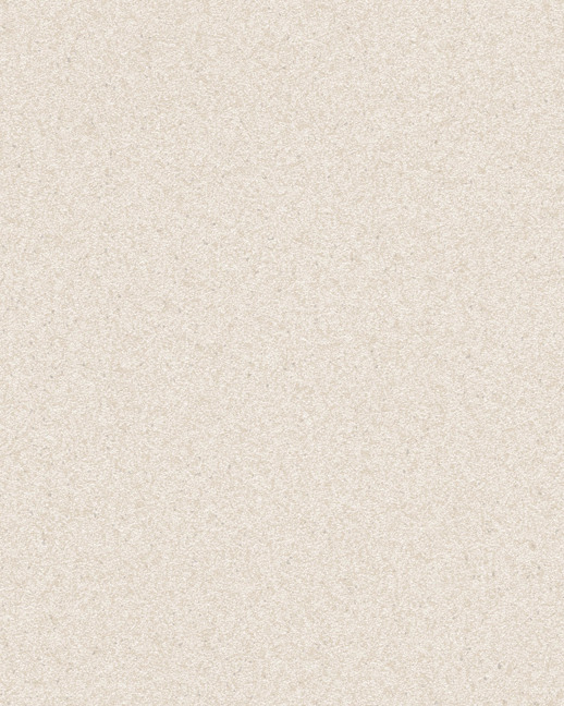  Vycon Contract Moondust Pumice