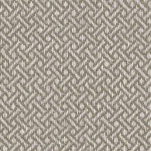 Grey Sedge