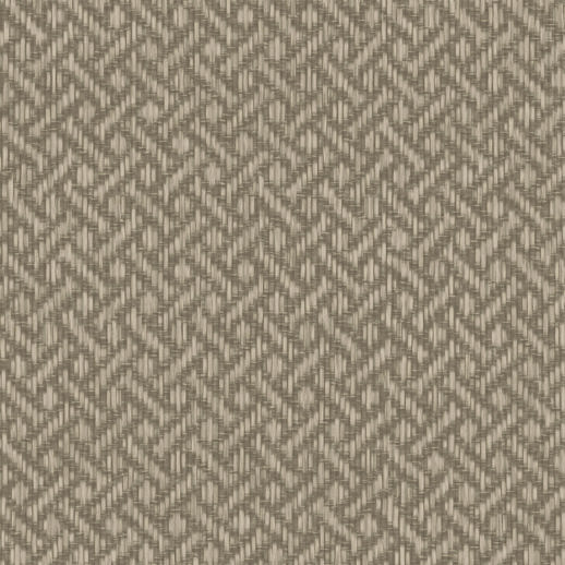  Vycon Contract Rare Reed Tempting Taupe