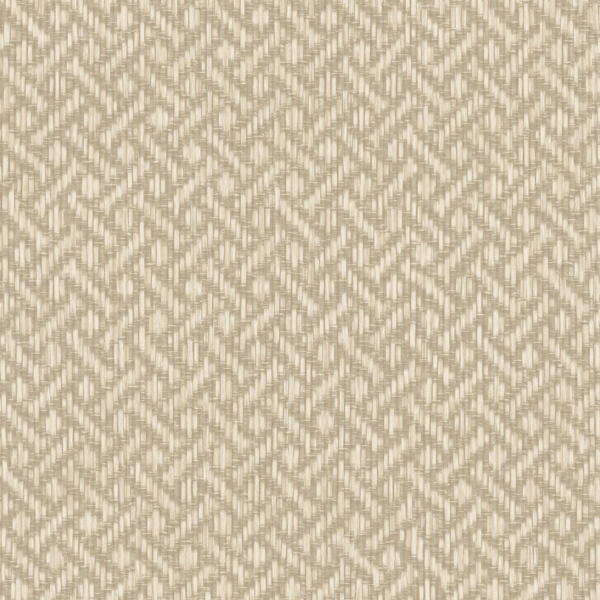 Featured Product Image