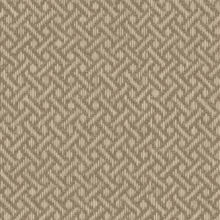 Classic Raffia