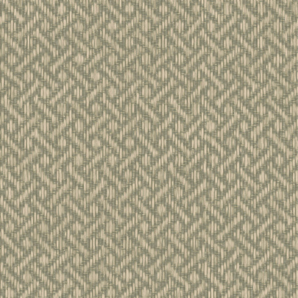 Featured Product Image