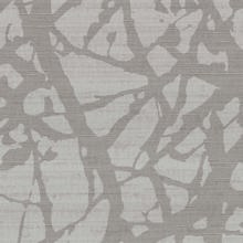 Louvre Grey