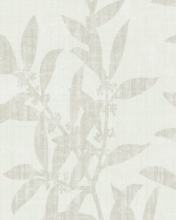 Featured Product Image