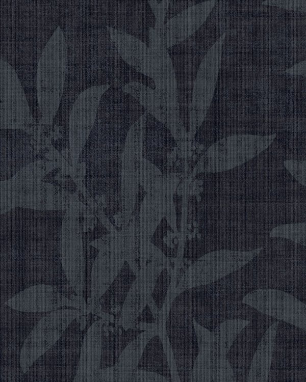 Featured Product Image