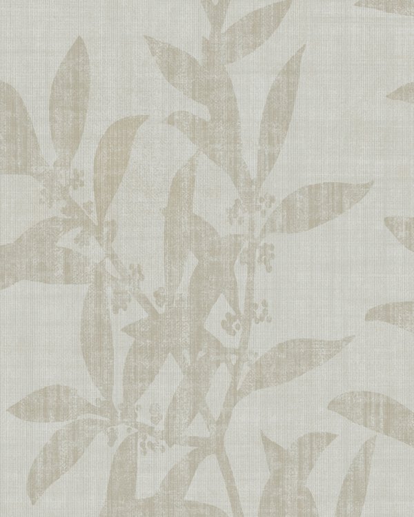 Featured Product Image