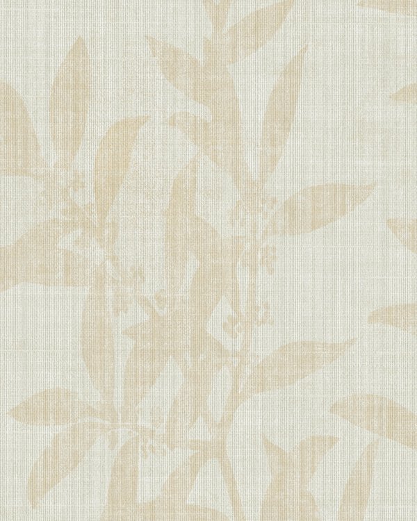Featured Product Image