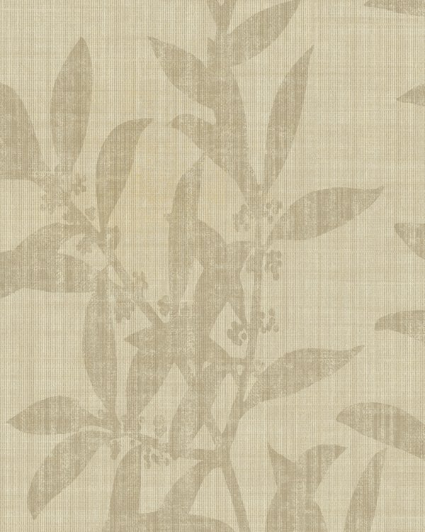 Featured Product Image