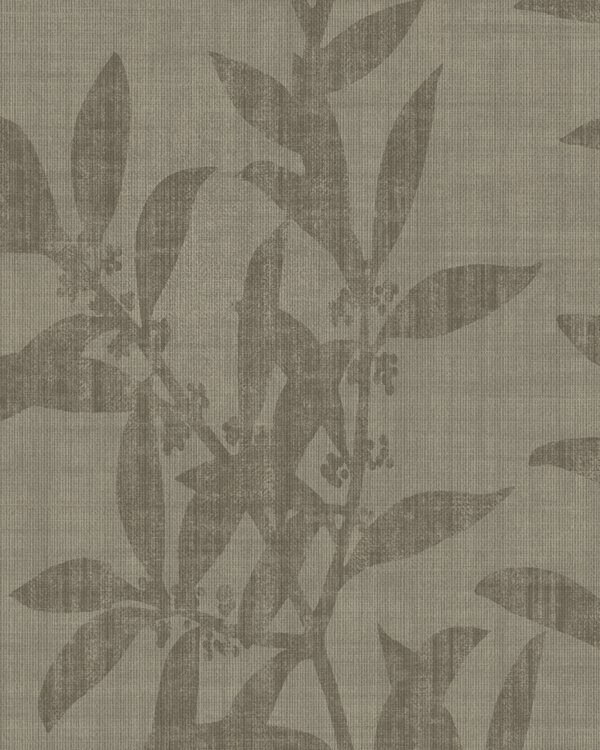Featured Product Image