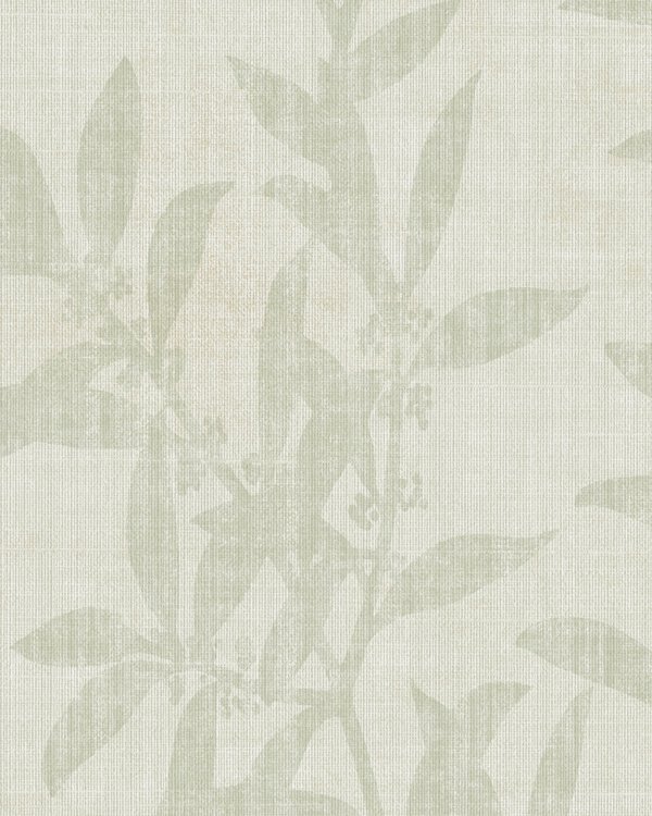 Featured Product Image