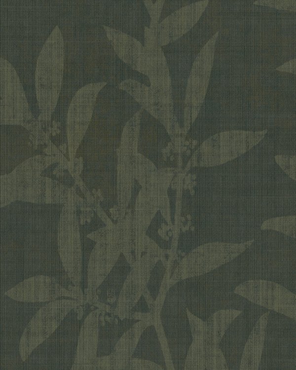 Featured Product Image
