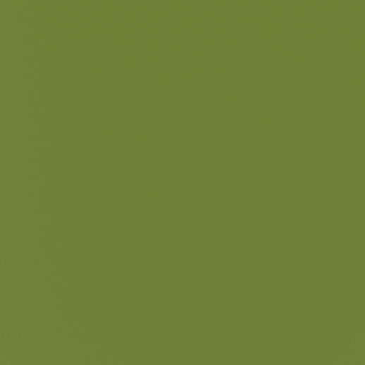  Zintra Powder Coat Samples Fern