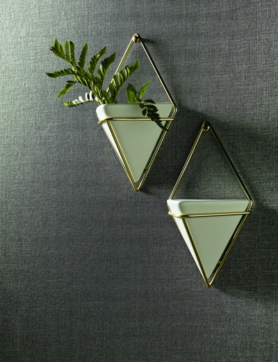 Candice Olson Couture Finesse Room Scene