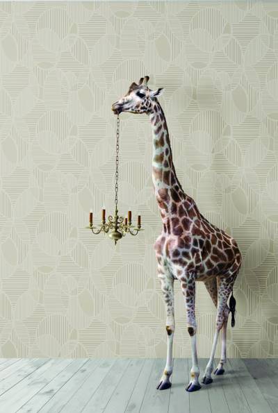 Design Gallery Viva La Art Full Circle Room Scene