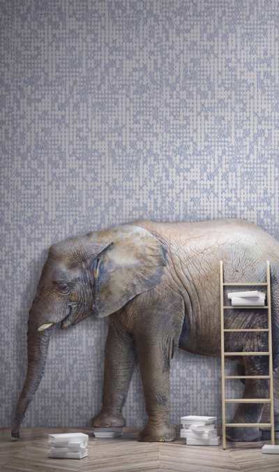 Design Gallery Viva La Art Sketchbook Room Scene