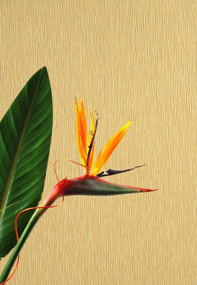 Len-Tex Contract Tranquility Room Scene