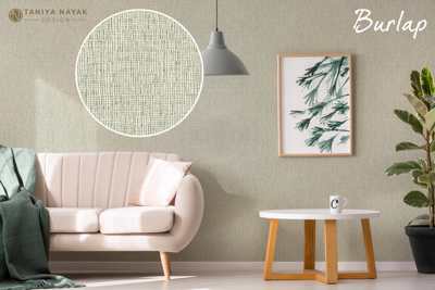 Taniya Nayak Collection