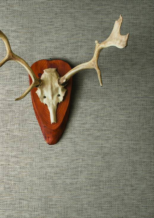 Vinyl Wall Covering Thom Filicia Madagascar Bleached Room Scene