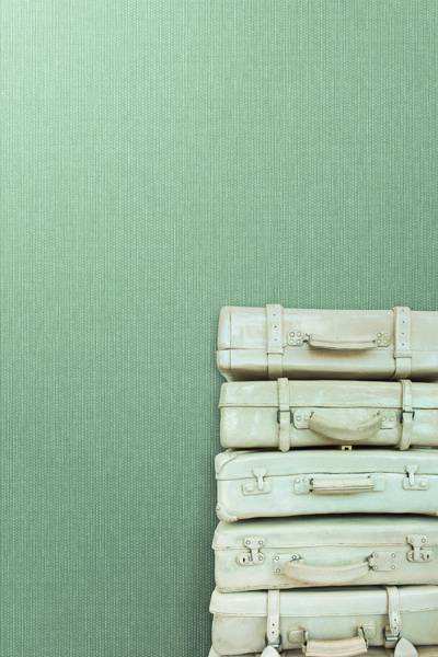 Thom Filicia Collection