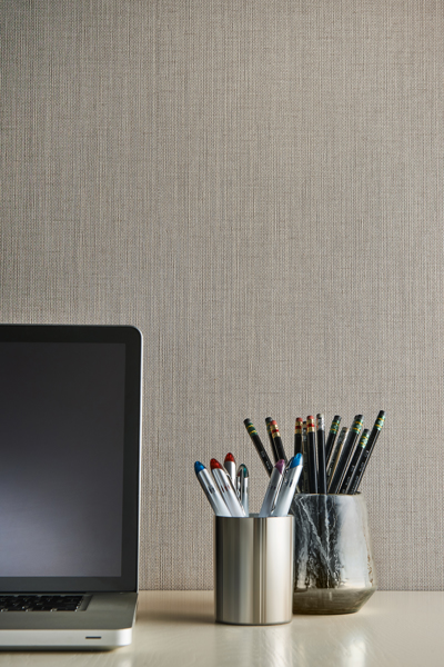 Vycon Contract Raising Cain Room Scene